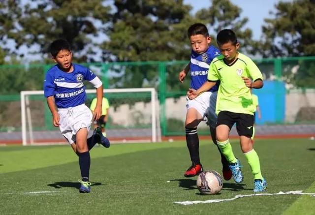 1620982418548056800.jpg 773b6f2688e34988baf1595d64ccb894_th.jpg